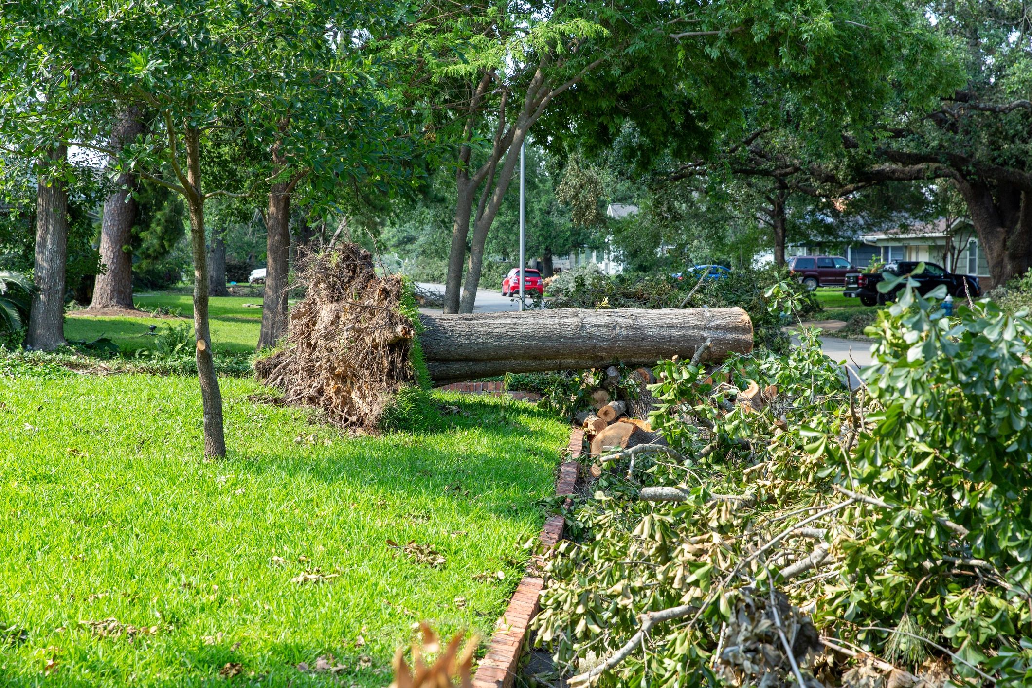 storm damage roof Texas