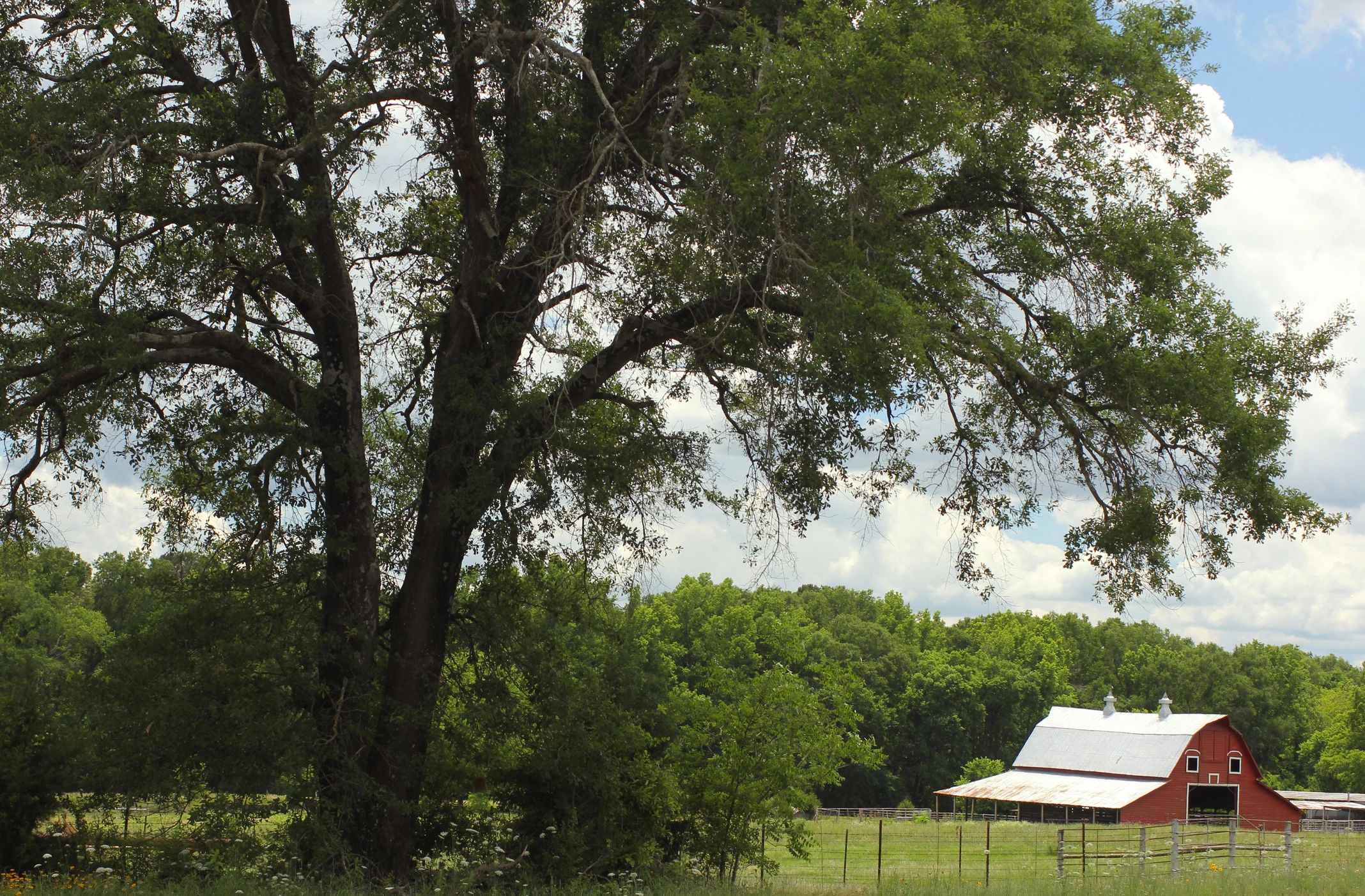 Red Barn located on Farm in East Texas